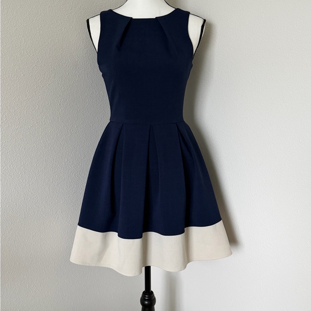 Closet Navy and Cream Skater-Style Mini Dress